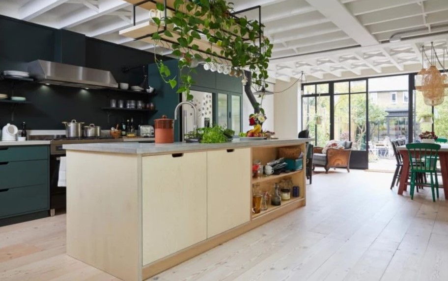 kitchens with plants